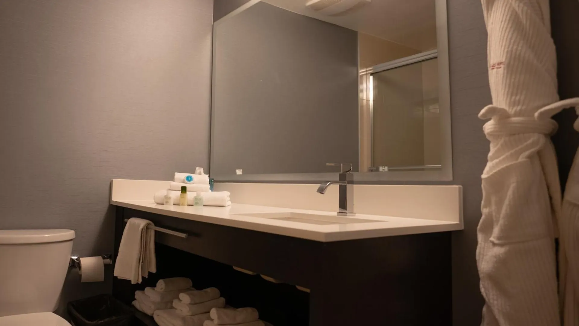 Pinnacle Hotel Whistler 3*,  Canada